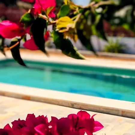 Nyaraló Olas De Conil Conil de la Frontera