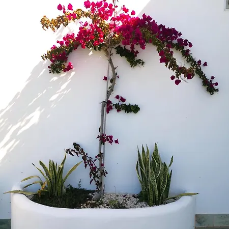 Nyaraló Olas De Conil *