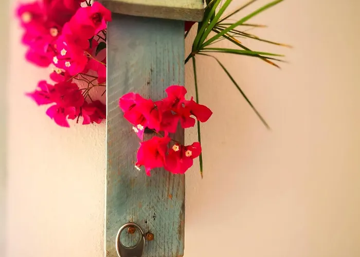 Olas De Conil بيت للعطل كونيل ذي لا فرونتيرا