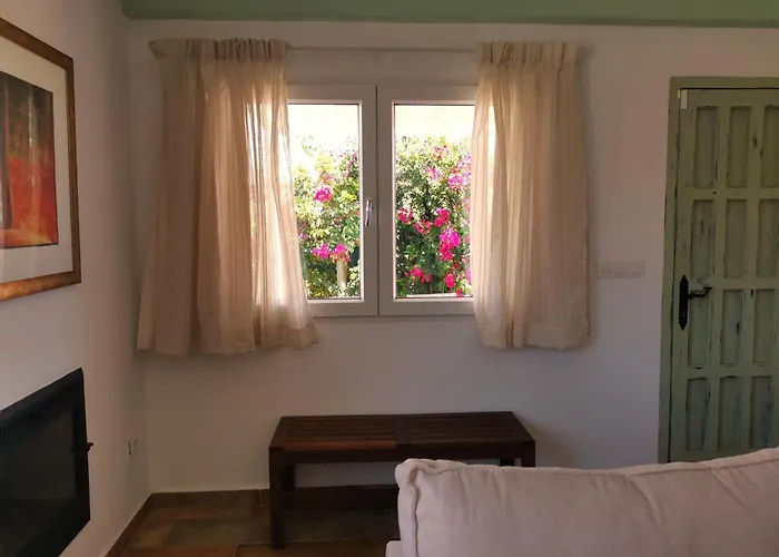 Olas De Conil كونيل ذي لا فرونتيرا