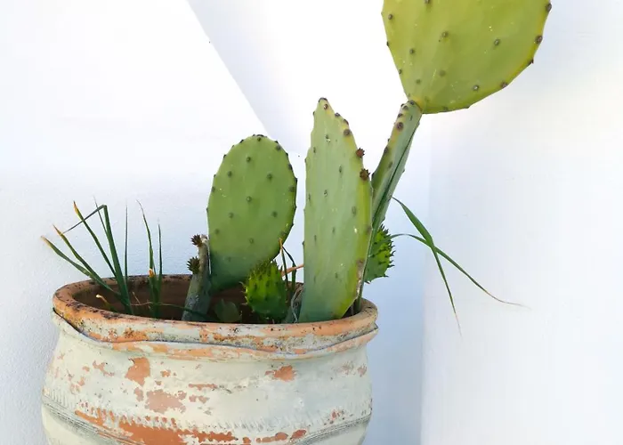 بيت للعطل Olas De Conil *