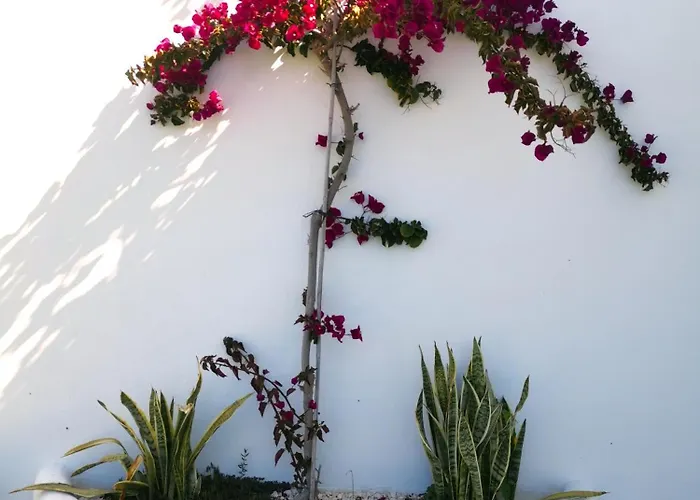 بيت للعطل Olas De Conil *