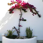 Ferienhaus Olas De Conil *